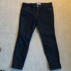 Loft modern skinny ankle/capri